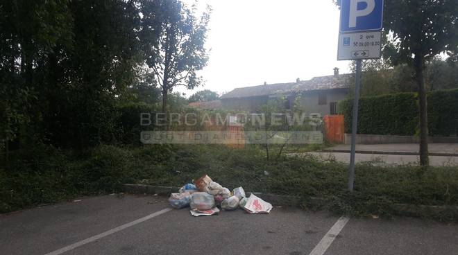 Abbandono rifiuti, linea dura di Treviglio: “I cittadini ci segnalino ... - BergamoNews.it