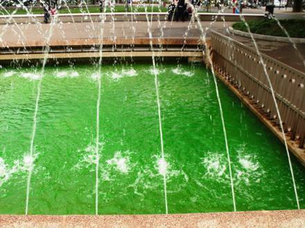 Acqua verde nella fontana del Piazzale Alpini