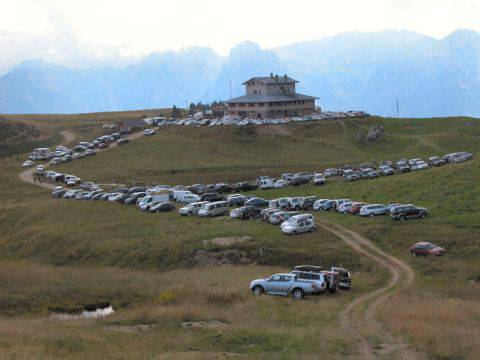 Cani da pastore al monte Avaro / 3