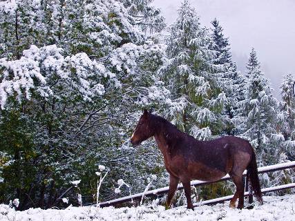 Neve a Foppolo e San Simone