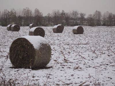 Neve in cittÃ  e provincia