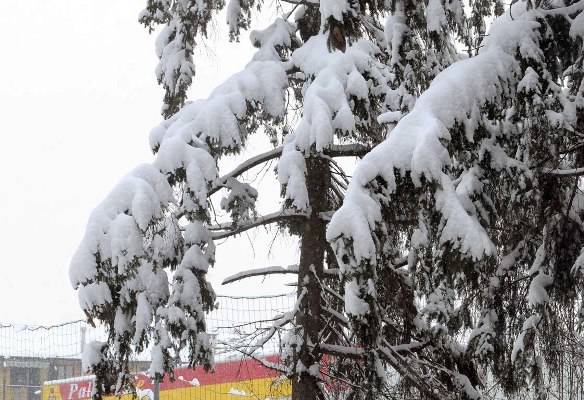 I particolari della nevicata