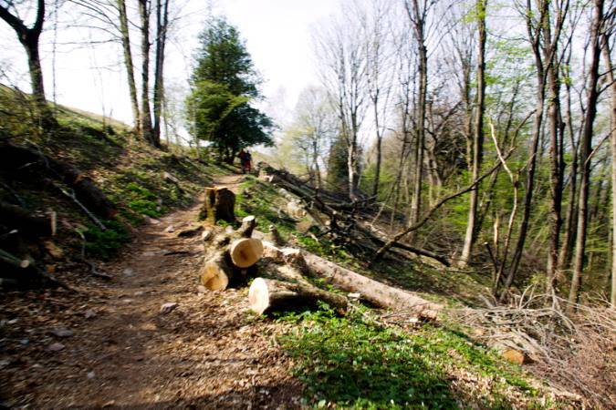 Nuova strada al canto Alto