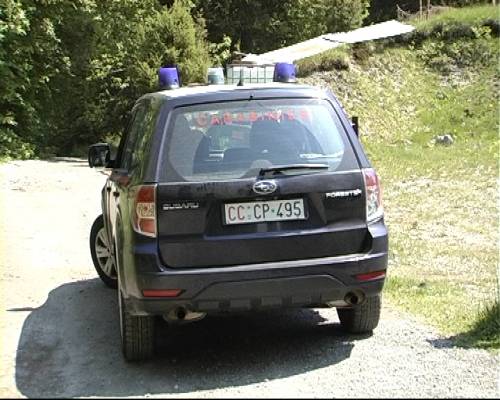 Settantenne muore mentre taglia un albero