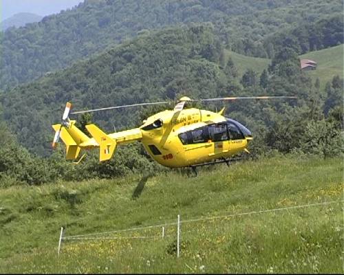 Settantenne muore mentre taglia un albero