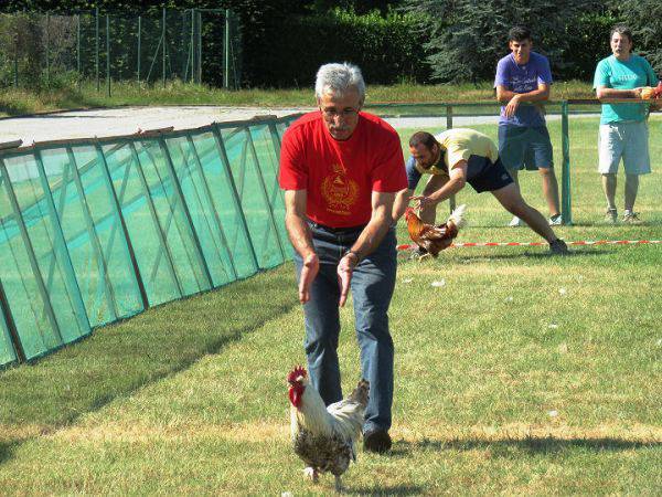 Corsa dei galli: trionfa la contrada Viola