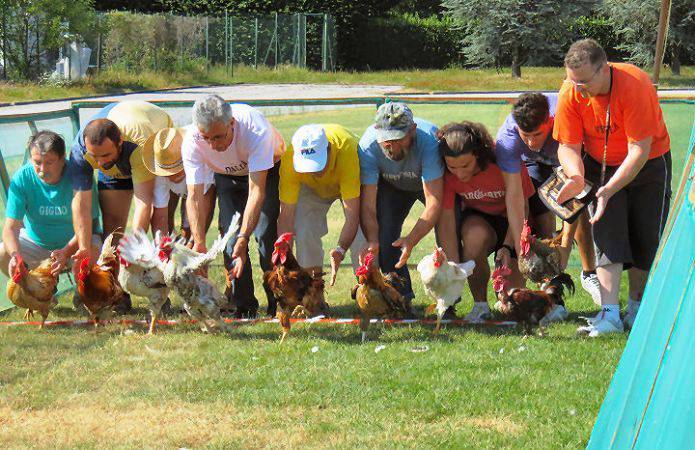 Corsa dei galli: trionfa la contrada Viola