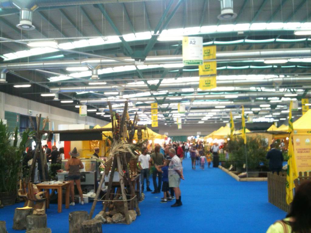 Fiera di Sant'Alessandro 2013