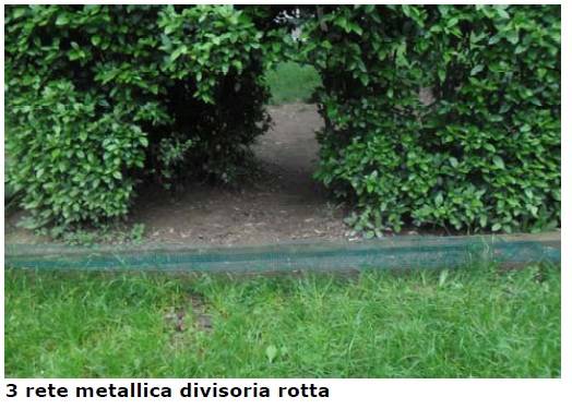 "Sistemate quel giardino a Monterosso"