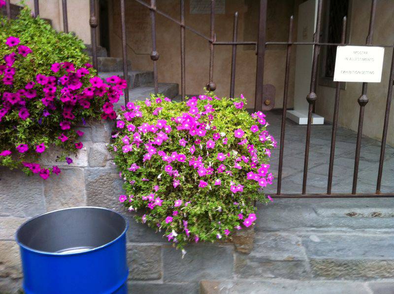 Un giardino di colori in Piazza Vecchia