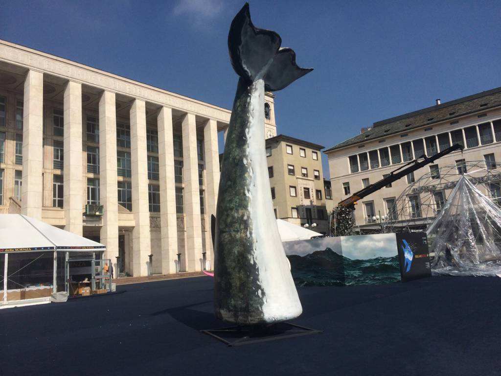 Coda di balena in Piazza Libertà