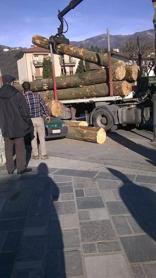 Cisano, camion perde tronchi in strada