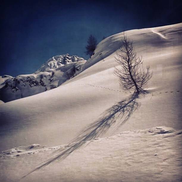 Quant'è bella Bergamo 8