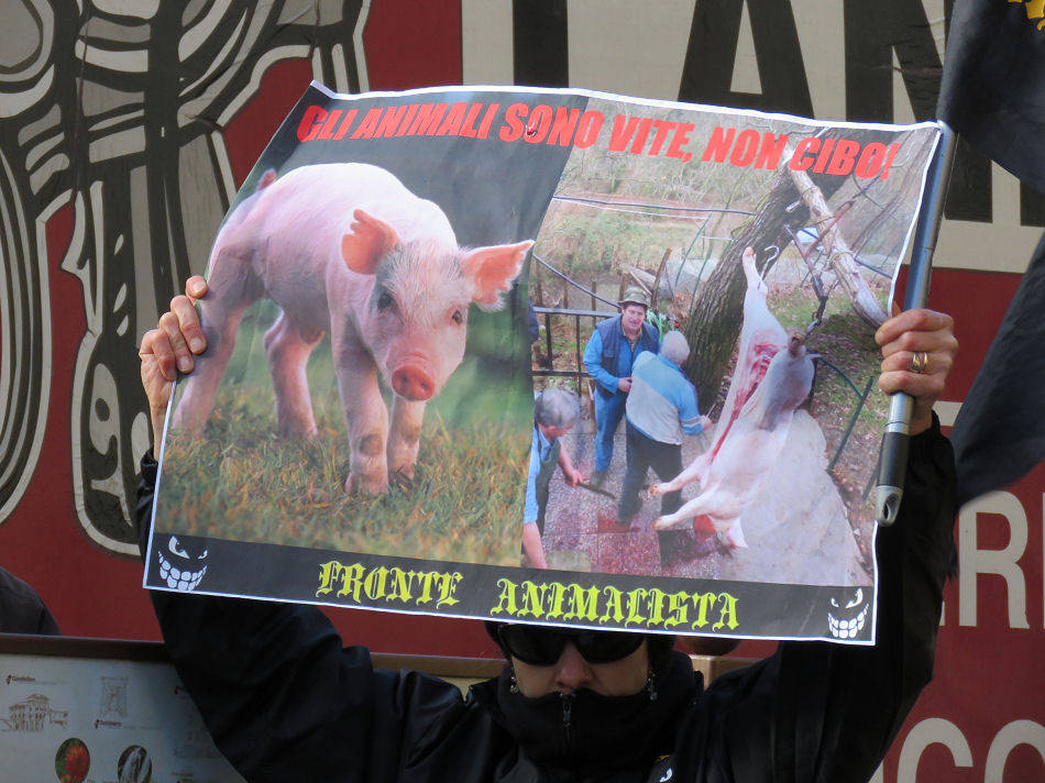 Contestazione animalista alla fiera delle capre