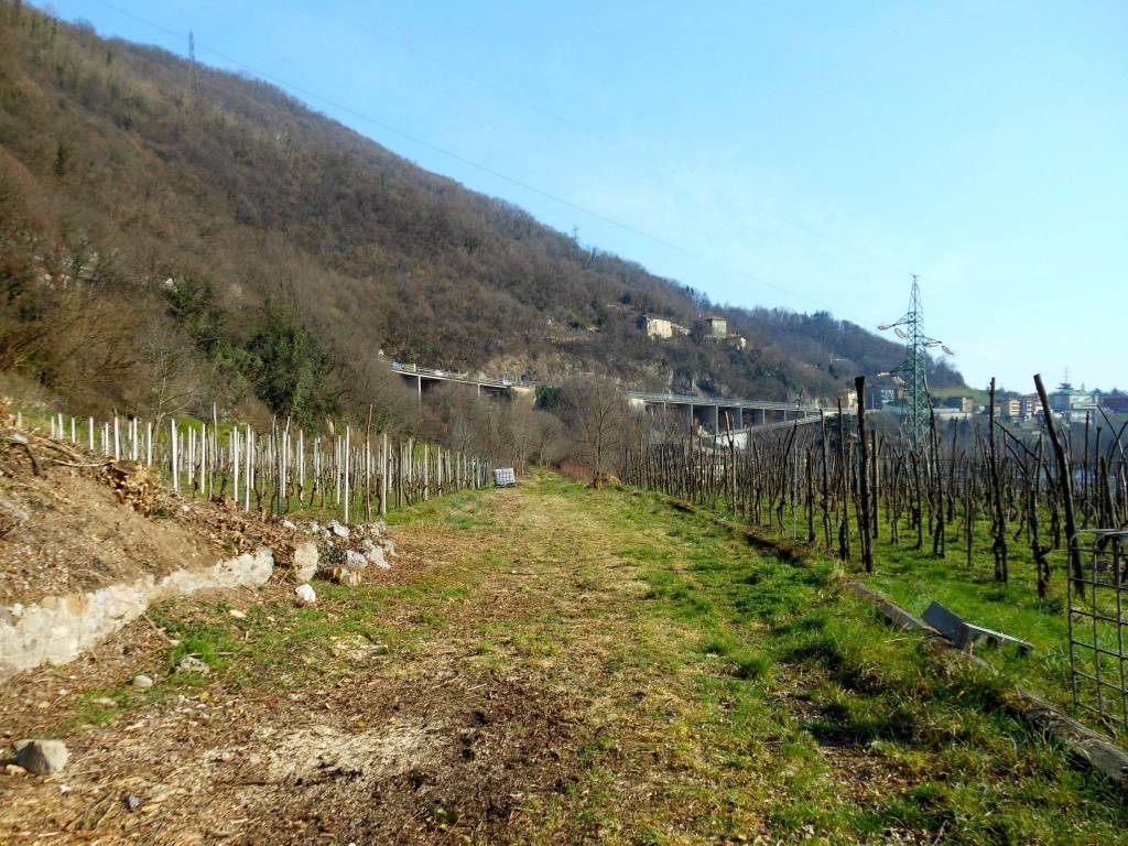 Splendida passeggiata sull'ex ferrovia della Valbrembana