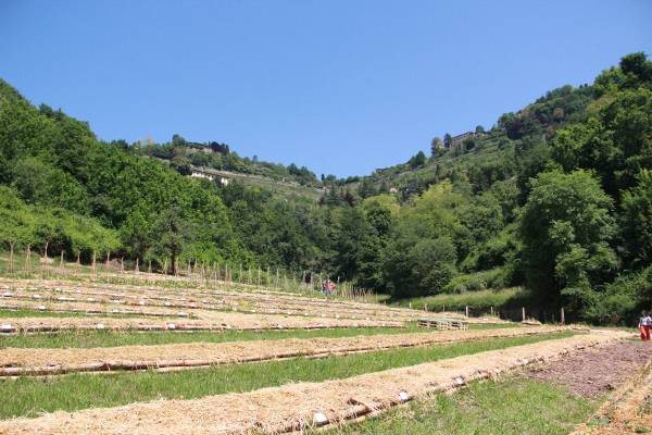 Inaugurata la valle della biodiversità