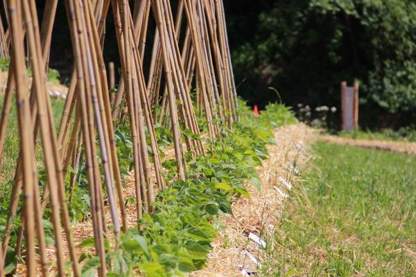 Inaugurata la valle della biodiversità