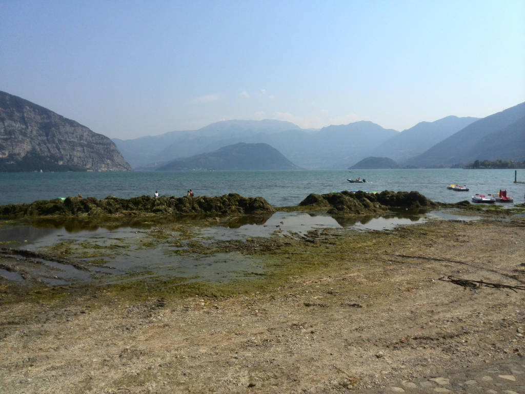 Alghe e siccità sul Sebino