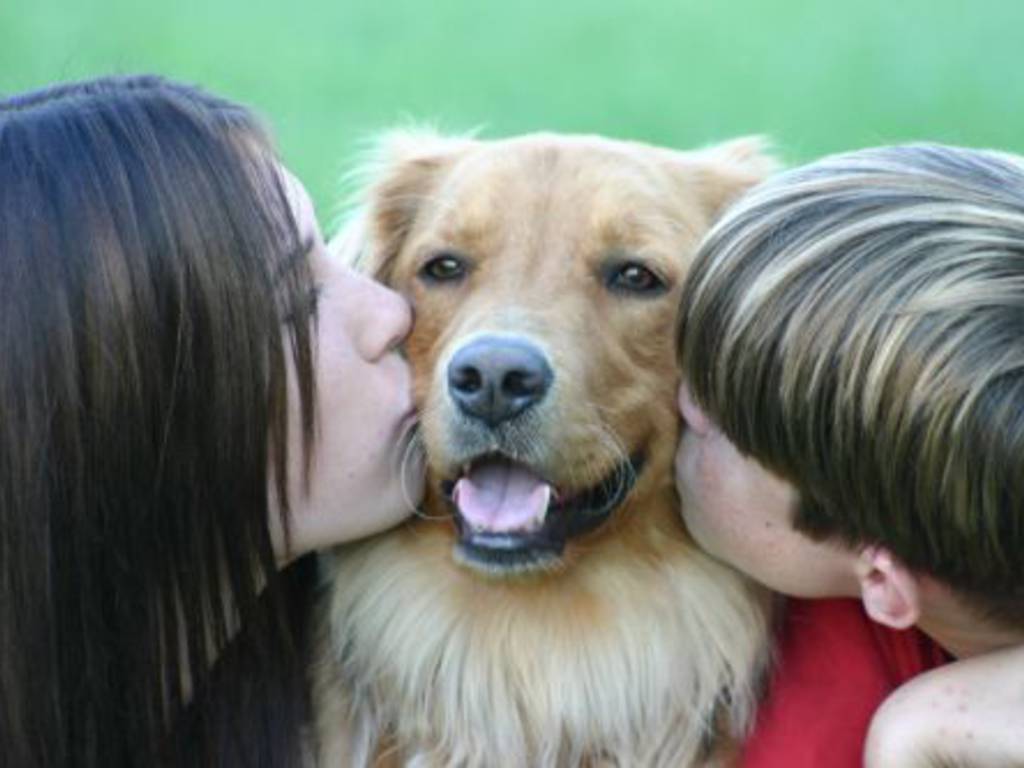 Niente pignoramento per gli animali domestici