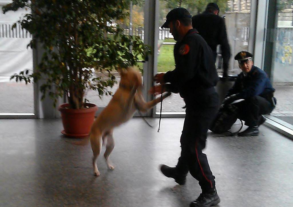 Controlli dei carabinieri con il cane