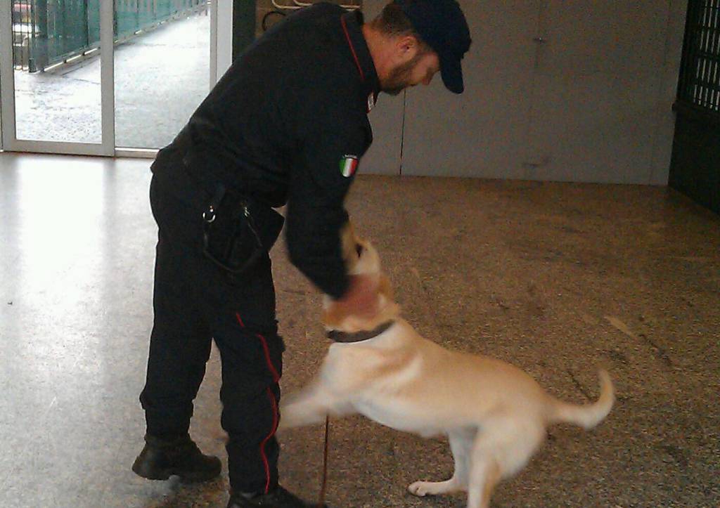 Controlli dei carabinieri con il cane