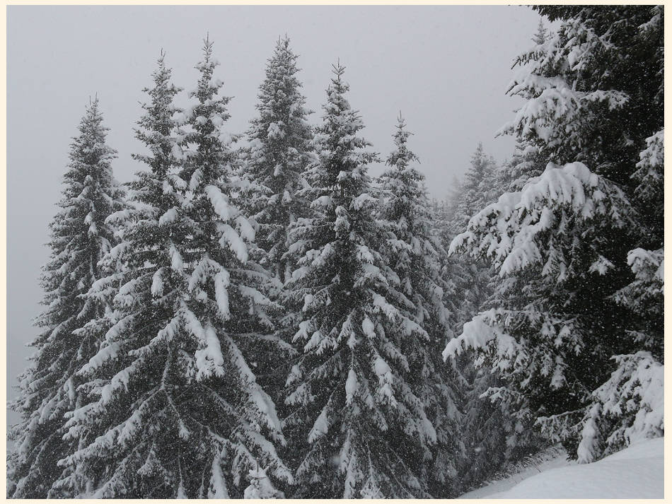 Neve a Tegge di Foppolo 