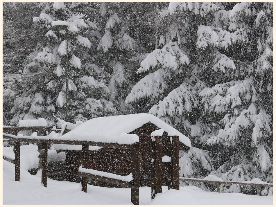 Neve a Tegge di Foppolo 