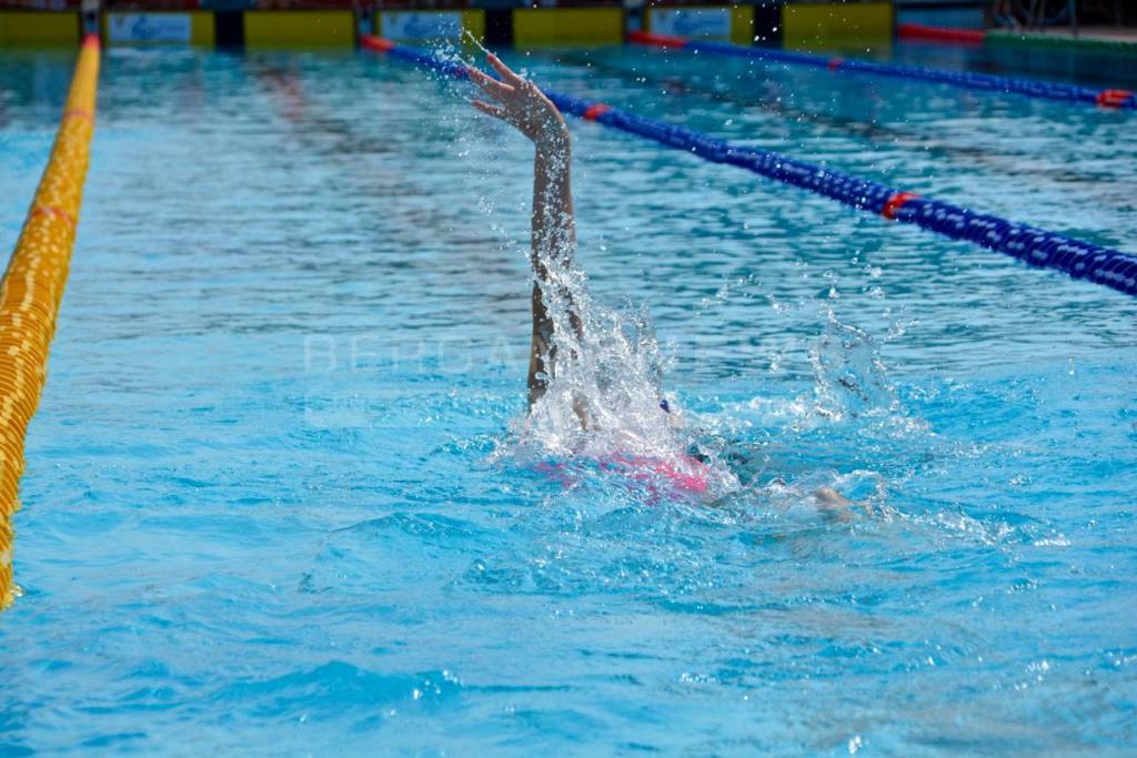 I campionati di nuoto paralimpico a Bergamo