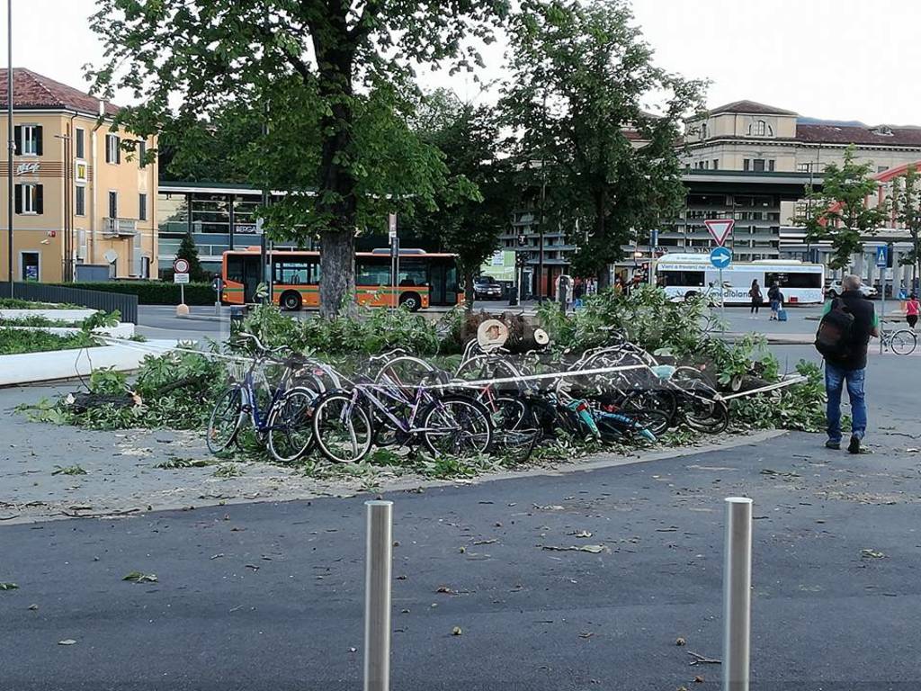 Mercoledì 13 luglio: il vento sradica gli alberi a Bergamo