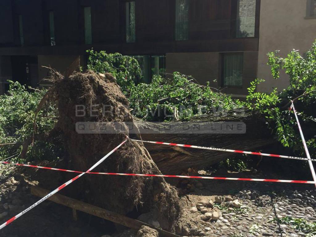 Mercoledì 13 luglio: il vento sradica gli alberi a Bergamo