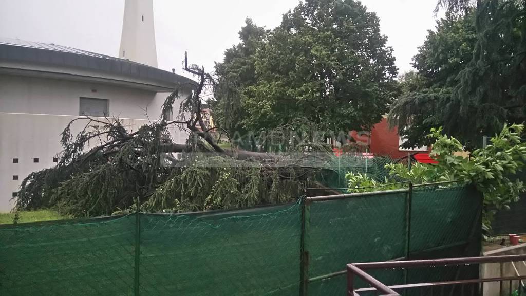 Temporale sulla Bergamasca: decine di alberi sradicati e abbattuti 