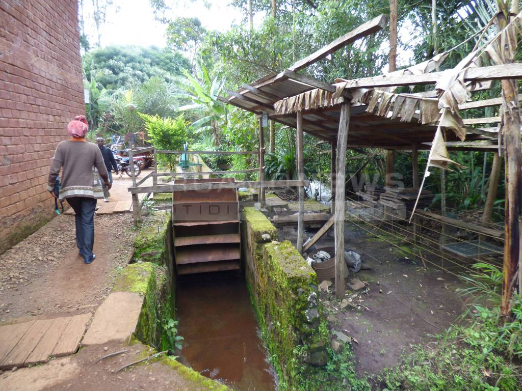 Emanuele e il frigo in Camerun 