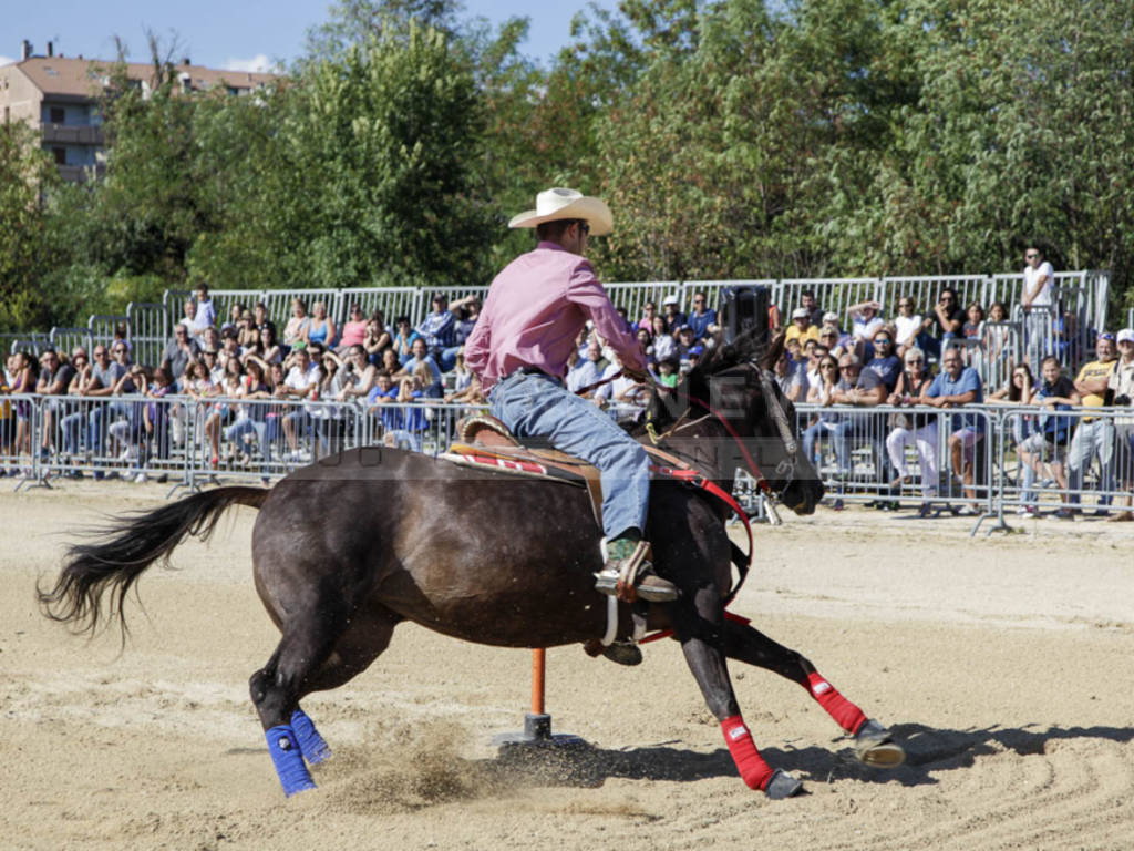 Fiera di Sant'Alessandro 2016