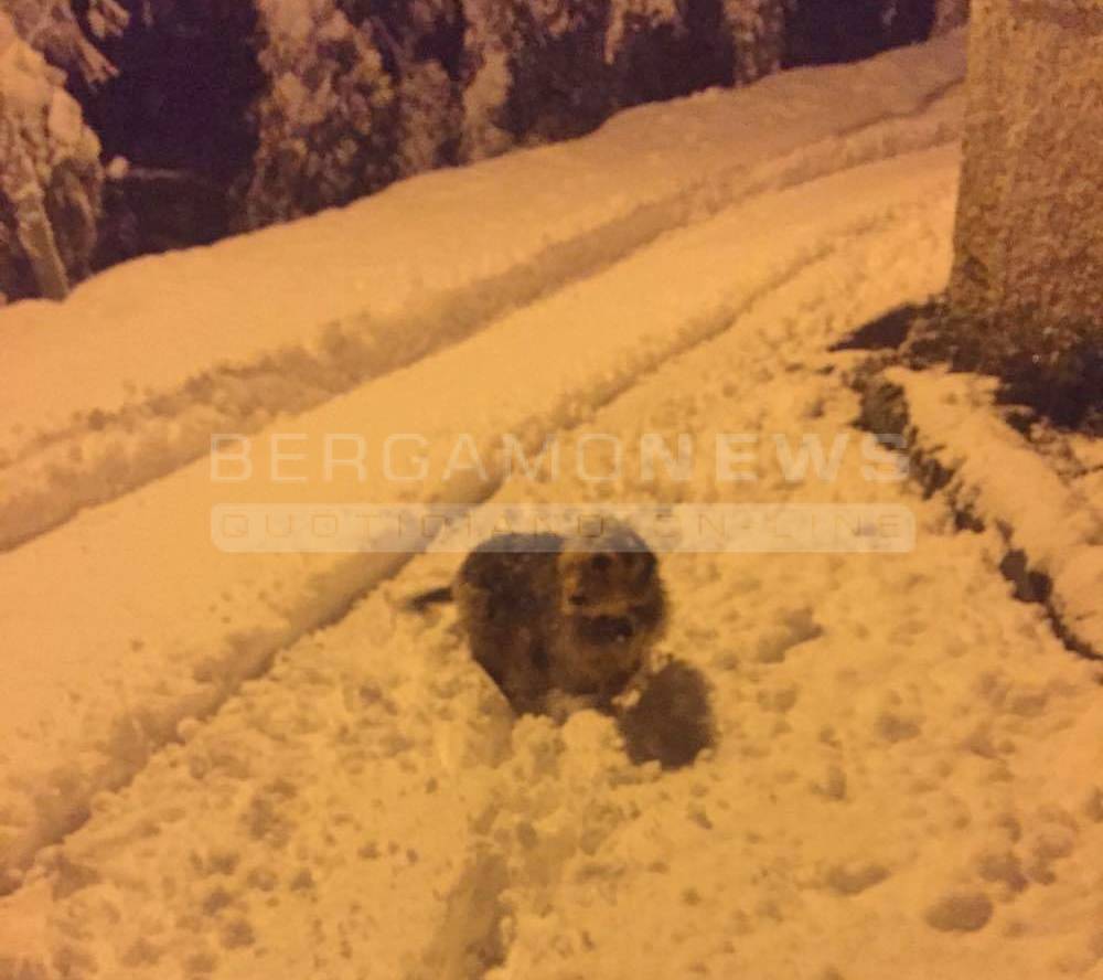 Foppolo, neve già ai primi di ottobre