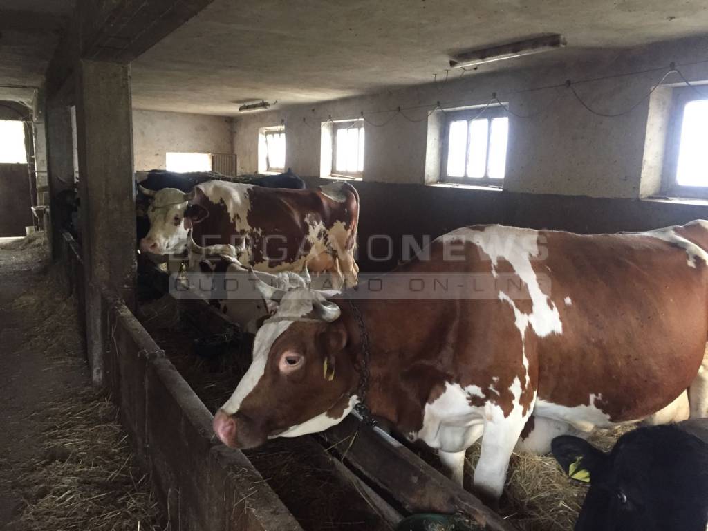 Da Telgate a Montefortino a sostegno dei terremotati