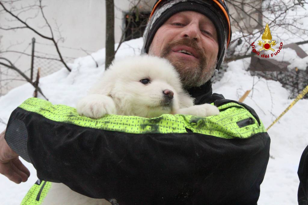 I cuccioli salvati all'Hotel RIgopiano 