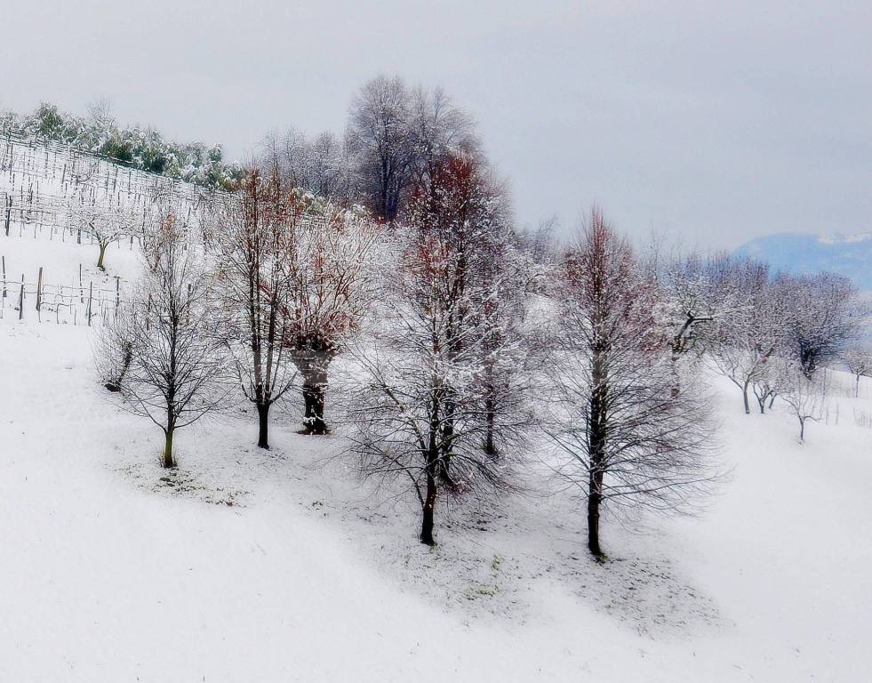 Neve su Bergamo e provincia