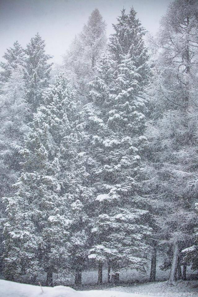 Nevica al Passo della Presolana 