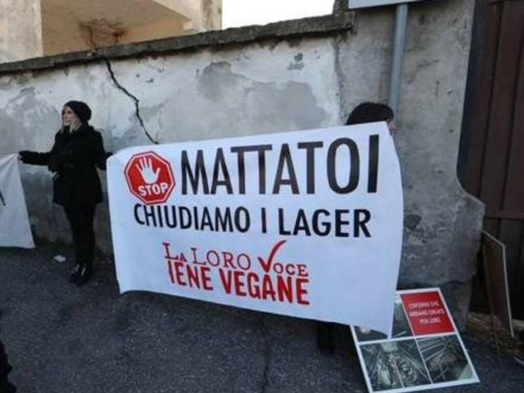 iene vegane rovato