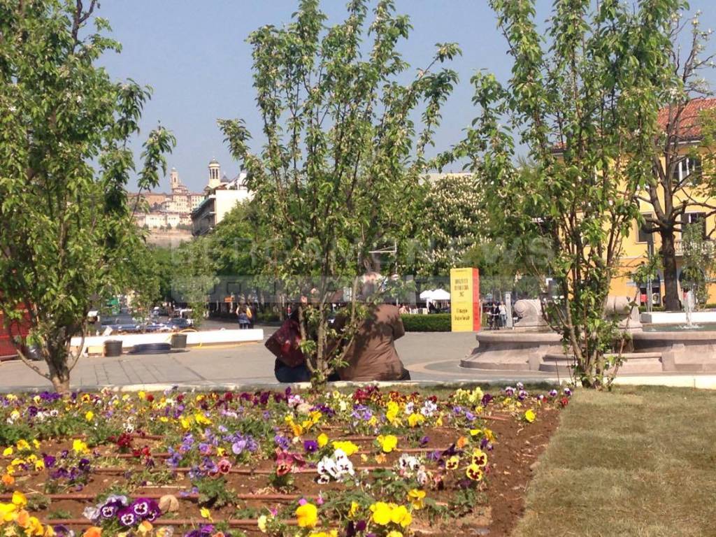 Piazzale Marconi con i fiori
