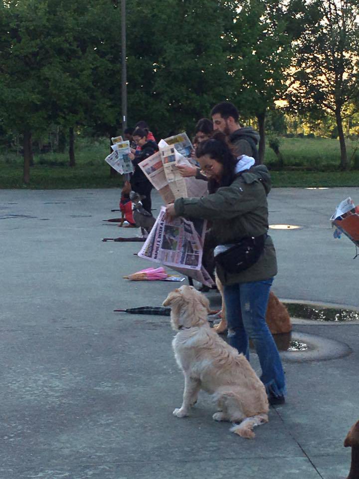 A Palosco un corso collettivo di “educazione civica”. Ma per cani