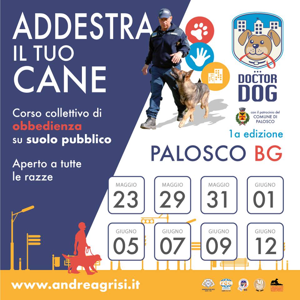 A Palosco un corso collettivo di “educazione civica”. Ma per cani