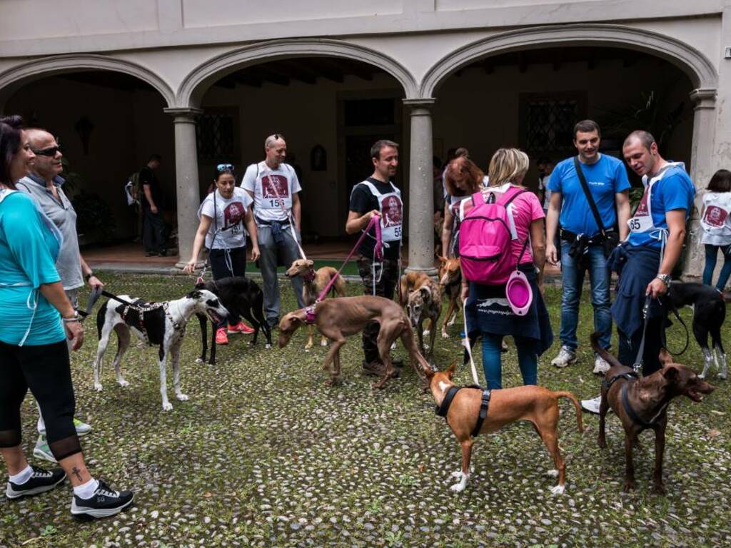 Dog Day Bergamo