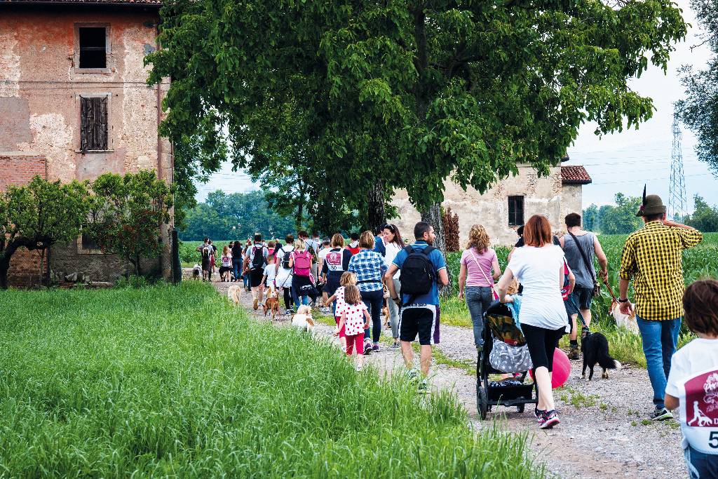 "Dog Day Bergamo", giornata dedicata ai cani e ai loro padroni