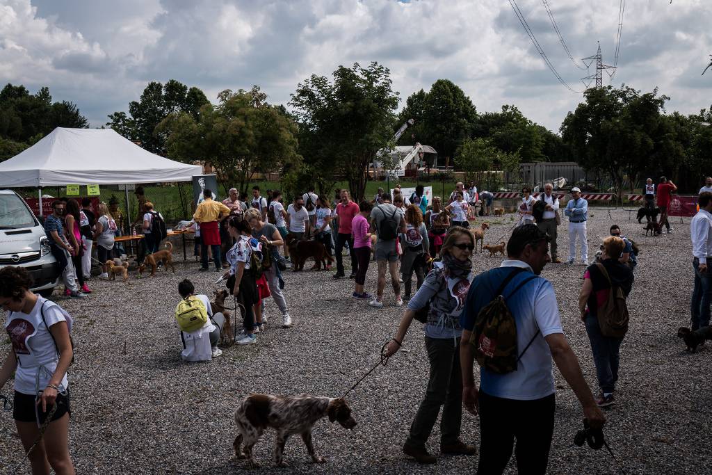 "Dog Day Bergamo", giornata dedicata ai cani e ai loro padroni