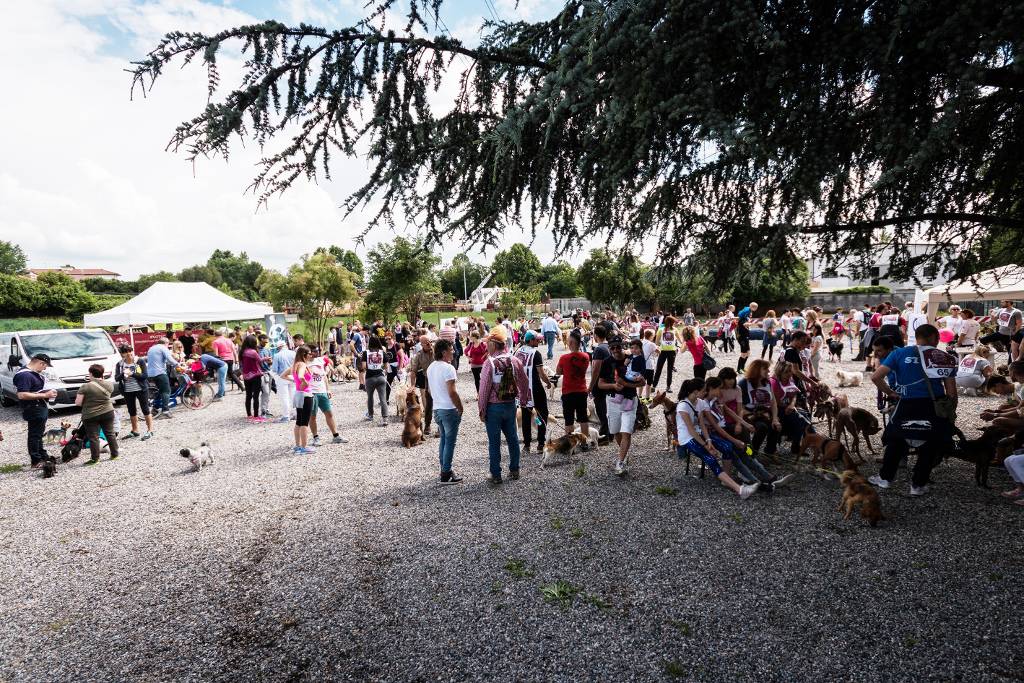 "Dog Day Bergamo", giornata dedicata ai cani e ai loro padroni