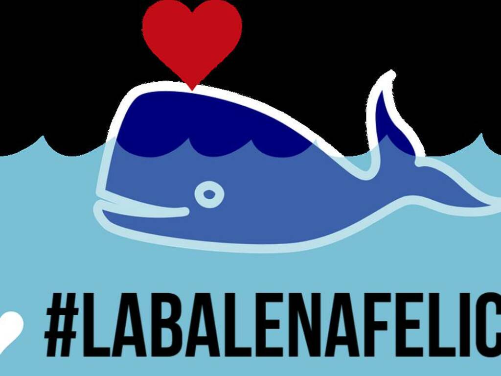 la balena felice