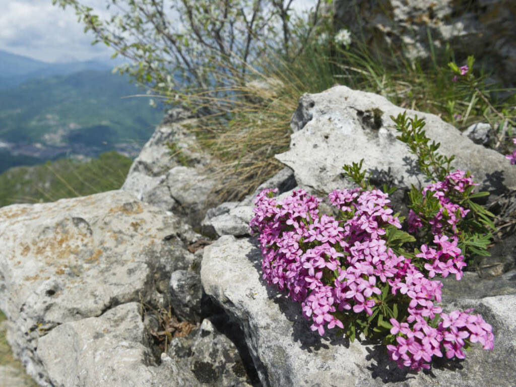 La nuova Geolander a Spirano