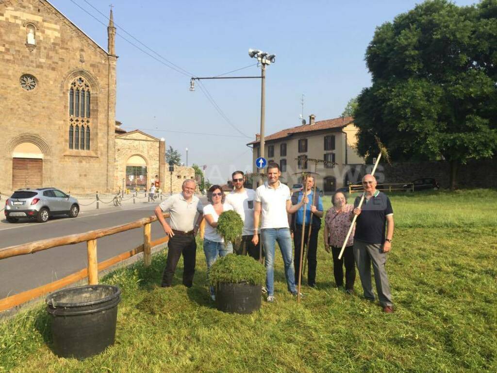 Lega taglia erba al prato della Fara