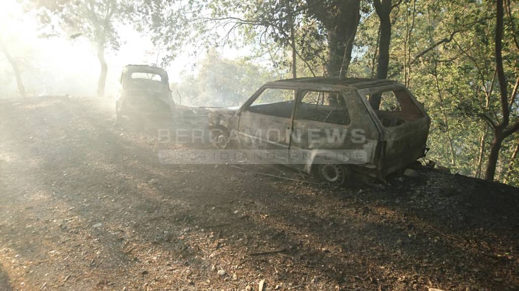 incendi calabria